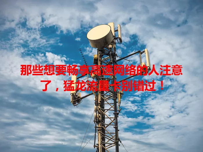 那些想要畅享高速网络的人注意了，猛龙流量卡别错过！