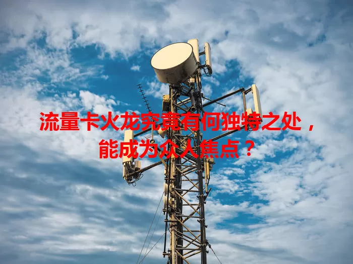 流量卡火龙究竟有何独特之处，能成为众人焦点？