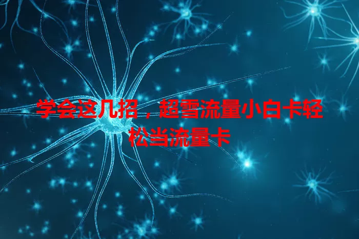 学会这几招，超雪流量小白卡轻松当流量卡