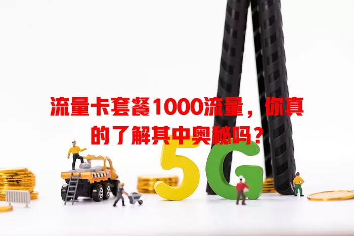 流量卡套餐1000流量，你真的了解其中奥秘吗？