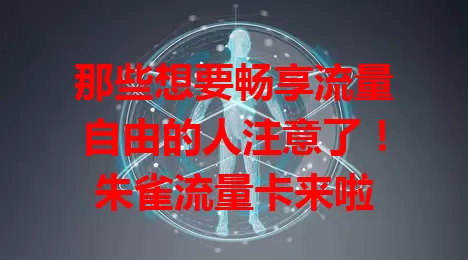 那些想要畅享流量自由的人注意了！朱雀流量卡来啦