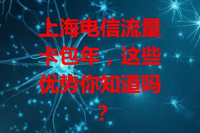 上海电信流量卡包年，这些优势你知道吗？