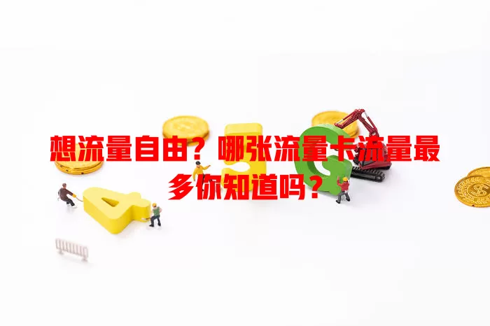 想流量自由？哪张流量卡流量最多你知道吗？