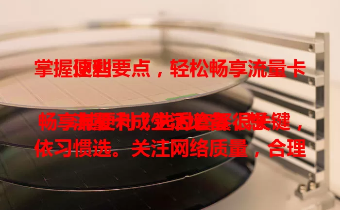 掌握这些要点，轻松畅享流量卡便利

流量卡成生活必备，想畅享其便利？选对套餐很关键，依习惯选。关注网络质量，合理用流量，及时了解政策优惠。掌握要点，就能轻松享受便捷网络生活。