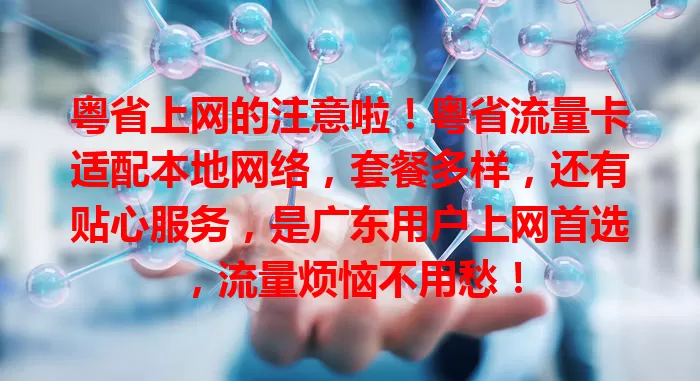 粤省上网的注意啦！粤省流量卡适配本地网络，套餐多样，还有贴心服务，是广东用户上网首选，流量烦恼不用愁！