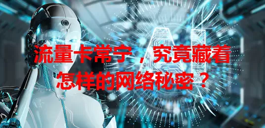 流量卡常宁，究竟藏着怎样的网络秘密？