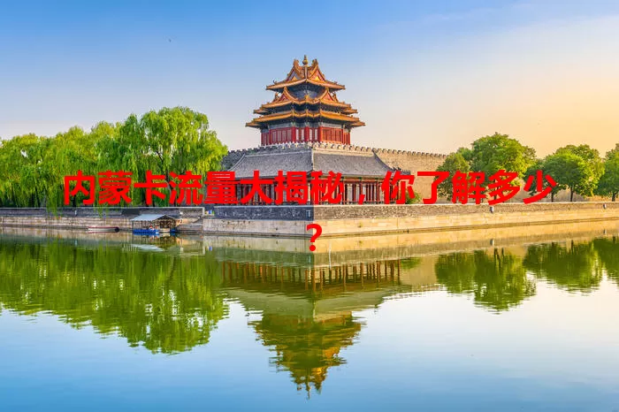 内蒙卡流量大揭秘，你了解多少？