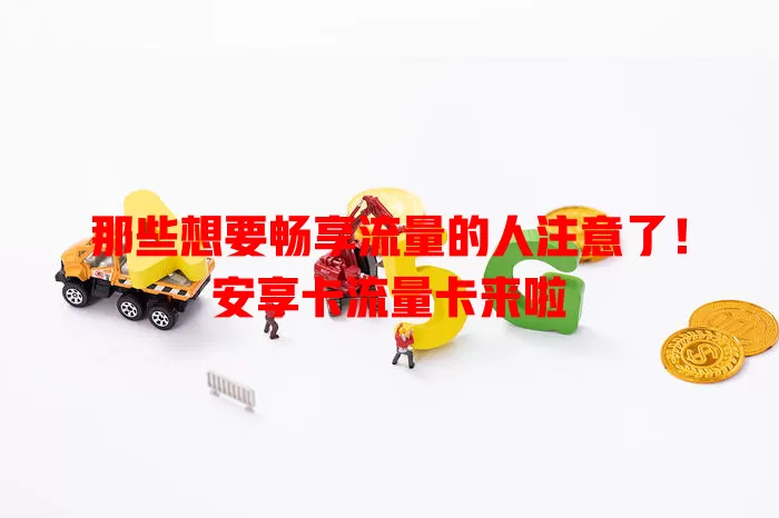 那些想要畅享流量的人注意了！安享卡流量卡来啦