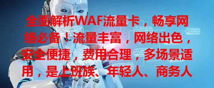 全面解析WAF流量卡，畅享网络必备！流量丰富，网络出色，安全便捷，费用合理，多场景适用，是上班族、年轻人、商务人士的上网得力助手