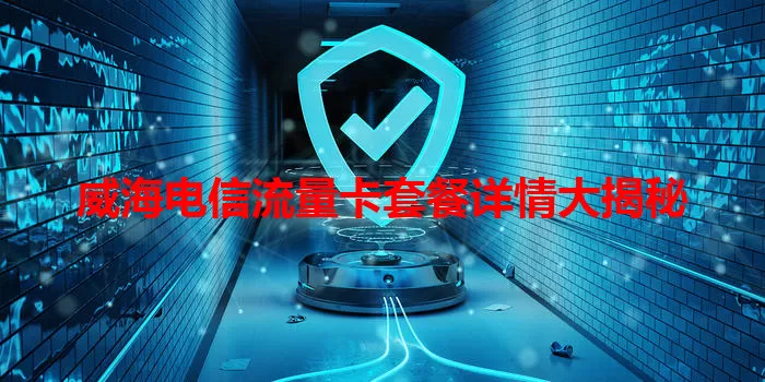 威海电信流量卡套餐详情大揭秘