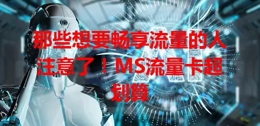那些想要畅享流量的人注意了！MS流量卡超划算