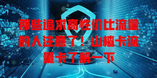 那些追求高性价比流量的人注意了！山楂卡流量卡了解一下