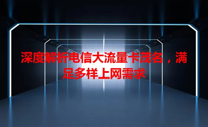 深度解析电信大流量卡茂名，满足多样上网需求