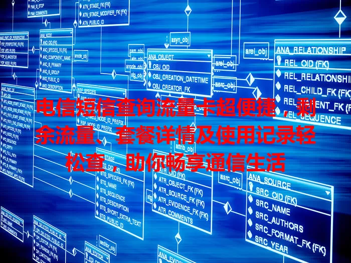 电信短信查询流量卡超便捷，剩余流量、套餐详情及使用记录轻松查，助你畅享通信生活