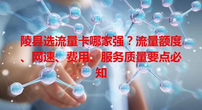 陵县选流量卡哪家强？流量额度、网速、费用、服务质量要点必知