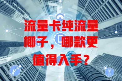 流量卡纯流量椰子，哪款更值得入手？