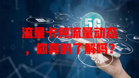 流量卡纯流量动态，你真的了解吗？