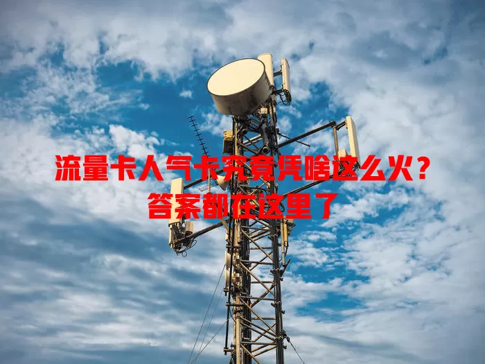 流量卡人气卡究竟凭啥这么火？答案都在这里了