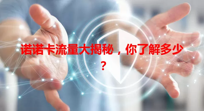 诺诺卡流量大揭秘，你了解多少？
