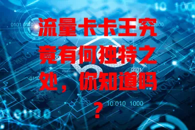 流量卡卡王究竟有何独特之处，你知道吗？