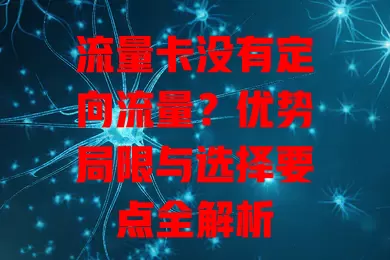 流量卡没有定向流量？优势局限与选择要点全解析