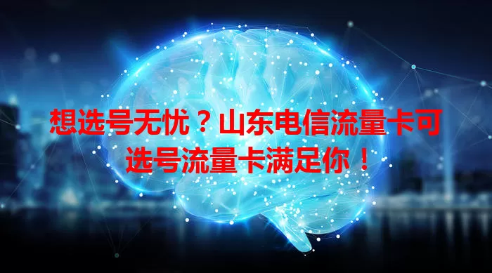 想选号无忧？山东电信流量卡可选号流量卡满足你！