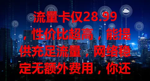 流量卡仅28.99，性价比超高，能提供充足流量，网络稳定无额外费用，你还不心动？
