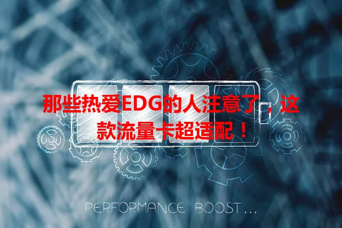 那些热爱EDG的人注意了，这款流量卡超适配！