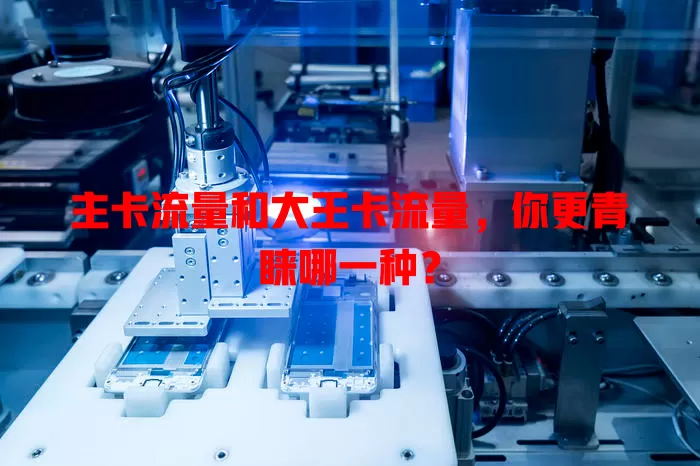 主卡流量和大王卡流量，你更青睐哪一种？