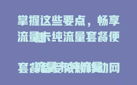 掌握这些要点，畅享流量卡纯流量套餐便捷

流量卡纯流量套餐备受依赖移动网络用户关注。明确其优势，依个人习惯选适合套餐，使用时留意适用范围等注意事项，掌握要点就能在网络世界畅游，让工作学习生活更高效精彩。