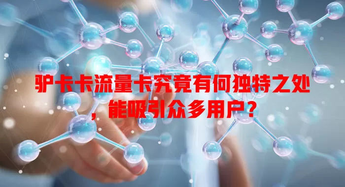 驴卡卡流量卡究竟有何独特之处，能吸引众多用户？