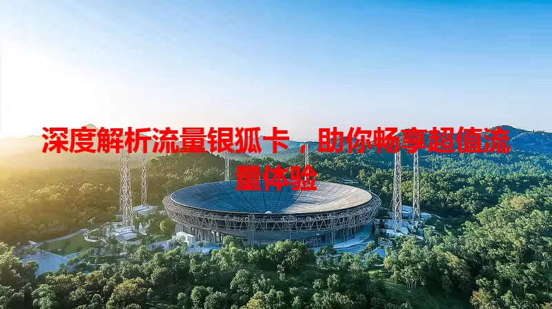 深度解析流量银狐卡，助你畅享超值流量体验