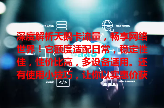 深度解析天鹅卡流量，畅享网络世界！它额度适配日常，稳定性佳，性价比高，多设备适用。还有使用小技巧，让你以实惠价获充足流量，告别烦恼，自由畅游数字化生活