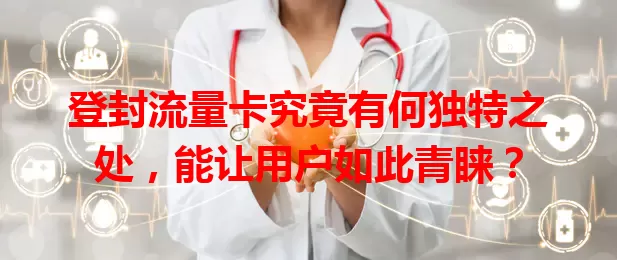 登封流量卡究竟有何独特之处，能让用户如此青睐？