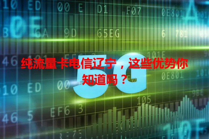 纯流量卡电信辽宁，这些优势你知道吗？