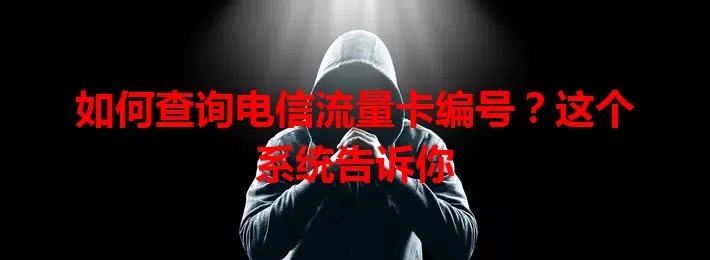 如何查询电信流量卡编号？这个系统告诉你