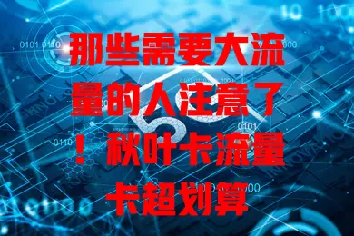 那些需要大流量的人注意了！秋叶卡流量卡超划算