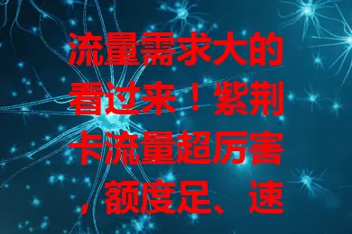 流量需求大的看过来！紫荆卡流量超厉害，额度足、速度快、范围广，上网超畅快