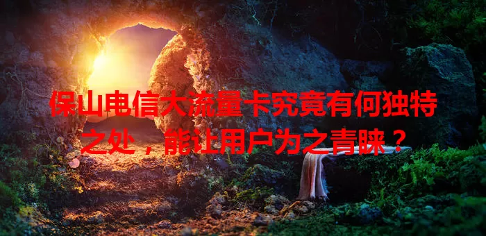 保山电信大流量卡究竟有何独特之处，能让用户为之青睐？