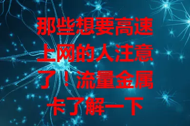 那些想要高速上网的人注意了！流量金属卡了解一下