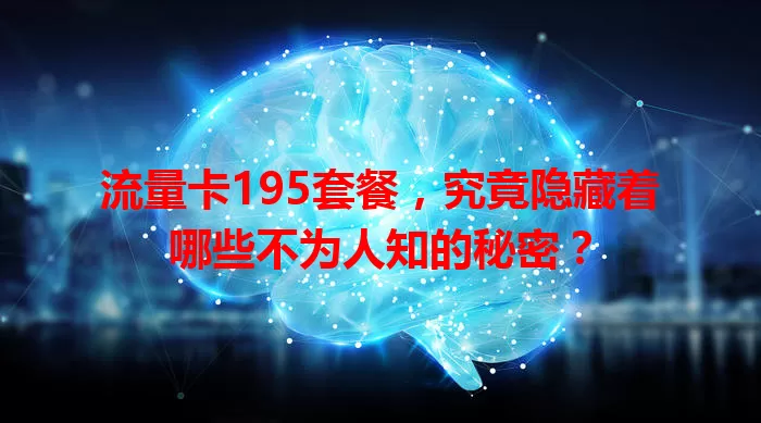 流量卡195套餐，究竟隐藏着哪些不为人知的秘密？