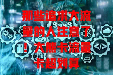 那些追求大流量的人注意了！大熊卡流量卡超划算