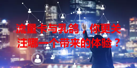 流量卡与乳鸽，你更关注哪一个带来的体验？