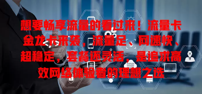 想要畅享流量的看过来！流量卡金龙卡来袭，流量足、网速快、超稳定，套餐还灵活，是追求高效网络体验者的理想之选