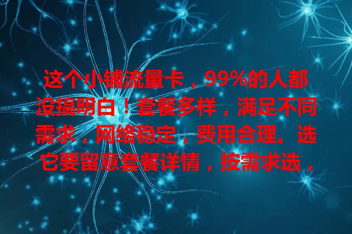 这个小铺流量卡，99%的人都没搞明白！套餐多样，满足不同需求，网络稳定，费用合理。选它要留意套餐详情，按需求选，发挥优势，让网络生活更便利！