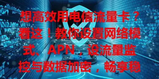 想高效用电信流量卡？看这！教你设置网络模式、APN，设流量监控与数据加密，畅享稳定高效网络