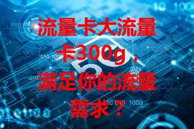 流量卡大流量卡300g，满足你的流量需求？
