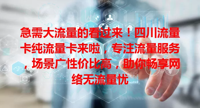 急需大流量的看过来！四川流量卡纯流量卡来啦，专注流量服务，场景广性价比高，助你畅享网络无流量忧