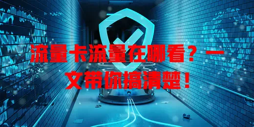 流量卡流量在哪看？一文带你搞清楚！