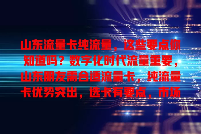 山东流量卡纯流量，这些要点你知道吗？数字化时代流量重要，山东朋友需合适流量卡，纯流量卡优势突出，选卡有要点，市场卡种多，多做功课才能选对，畅享便捷上网